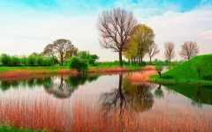 Desktop wallpaper. Nature. ID:67021