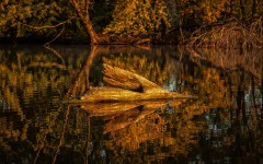 Desktop wallpaper. Nature. ID:67022