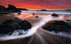 Desktop wallpaper. Nature. ID:67023
