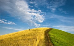 Desktop wallpaper. Nature. ID:67028