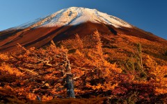 Desktop wallpaper. Nature. ID:67036