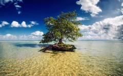 Desktop wallpaper. Nature. ID:67039