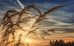 Desktop wallpaper. Nature. ID:67041