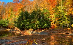 Desktop wallpaper. Nature. ID:67046