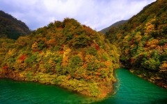 Desktop wallpaper. Nature. ID:67050