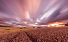 Desktop wallpaper. Nature. ID:67053