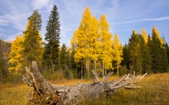 Desktop wallpaper. Nature. ID:67056