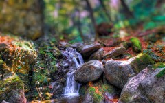 Desktop wallpaper. Nature. ID:67059