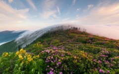 Desktop wallpaper. Nature. ID:67064