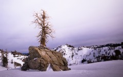 Desktop wallpaper. Nature. ID:67070