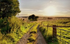 Desktop wallpaper. Nature. ID:67073