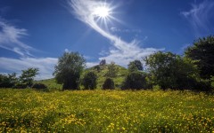 Desktop wallpaper. Nature. ID:67085