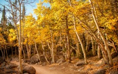 Desktop wallpaper. Nature. ID:67086