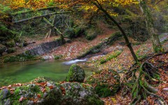 Desktop wallpaper. Nature. ID:67088