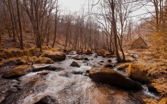 Desktop wallpaper. Nature. ID:67096