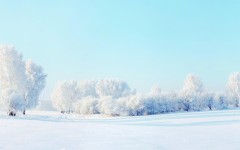 Desktop wallpaper. Nature. ID:67105