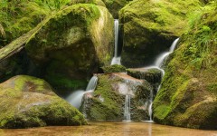 Desktop wallpaper. Nature. ID:67107