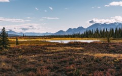 Desktop wallpaper. Nature. ID:67121