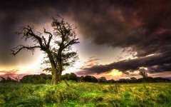 Desktop wallpaper. Nature. ID:67131