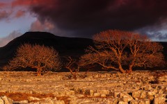 Desktop wallpaper. Nature. ID:67141