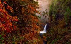 Desktop wallpaper. Nature. ID:67142