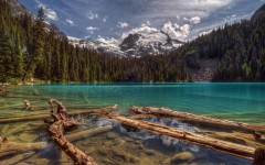 Desktop wallpaper. Nature. ID:67647