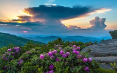 Desktop wallpaper. Nature. ID:67153