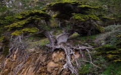 Desktop wallpaper. Nature. ID:67159