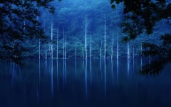 Desktop wallpaper. Nature. ID:67163