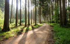 Desktop wallpaper. Nature. ID:67167