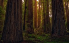 Desktop wallpaper. Nature. ID:67168