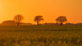 Desktop wallpaper. Nature. ID:148620