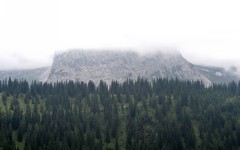Desktop wallpaper. Nature. ID:67172