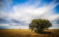 Desktop wallpaper. Nature. ID:67174