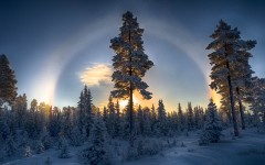 Desktop wallpaper. Nature. ID:67190