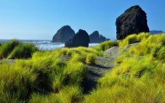 Desktop wallpaper. Nature. ID:67191