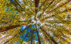 Desktop wallpaper. Nature. ID:67197