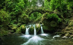 Desktop wallpaper. Nature. ID:67200