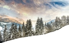 Desktop wallpaper. Nature. ID:67201
