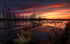 Desktop wallpaper. Nature. ID:67206