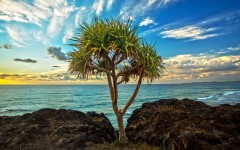 Desktop wallpaper. Nature. ID:67208