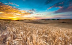 Desktop wallpaper. Nature. ID:67211