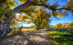 Desktop wallpaper. Nature. ID:67225
