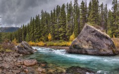 Desktop wallpaper. Nature. ID:67229