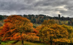 Desktop wallpaper. Nature. ID:67230