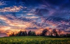 Desktop wallpaper. Nature. ID:67237