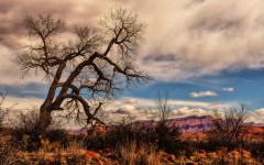 Desktop wallpaper. Nature. ID:67240