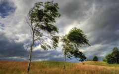 Desktop wallpaper. Nature. ID:67242