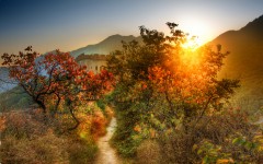 Desktop wallpaper. Nature. ID:67258