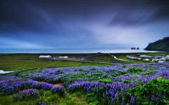 Desktop wallpaper. Nature. ID:67271